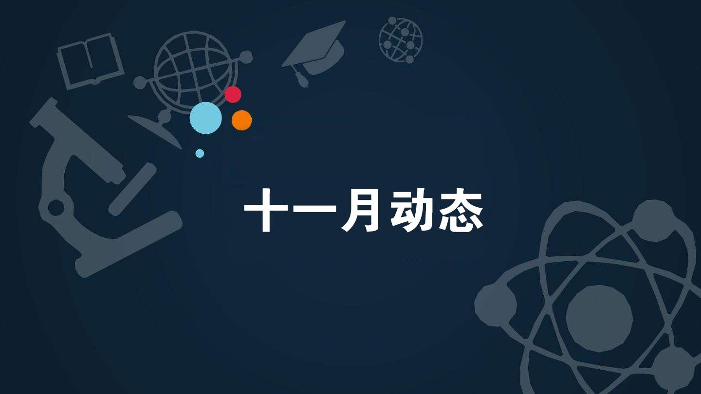 十一月动态